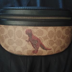 Coach Rexy Collab Waist Bag